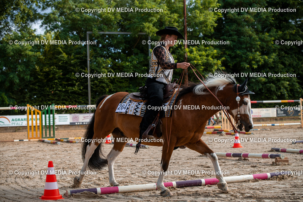 ZS3_9106 | dv-media-shop - Realisiert mit Pictrs.com