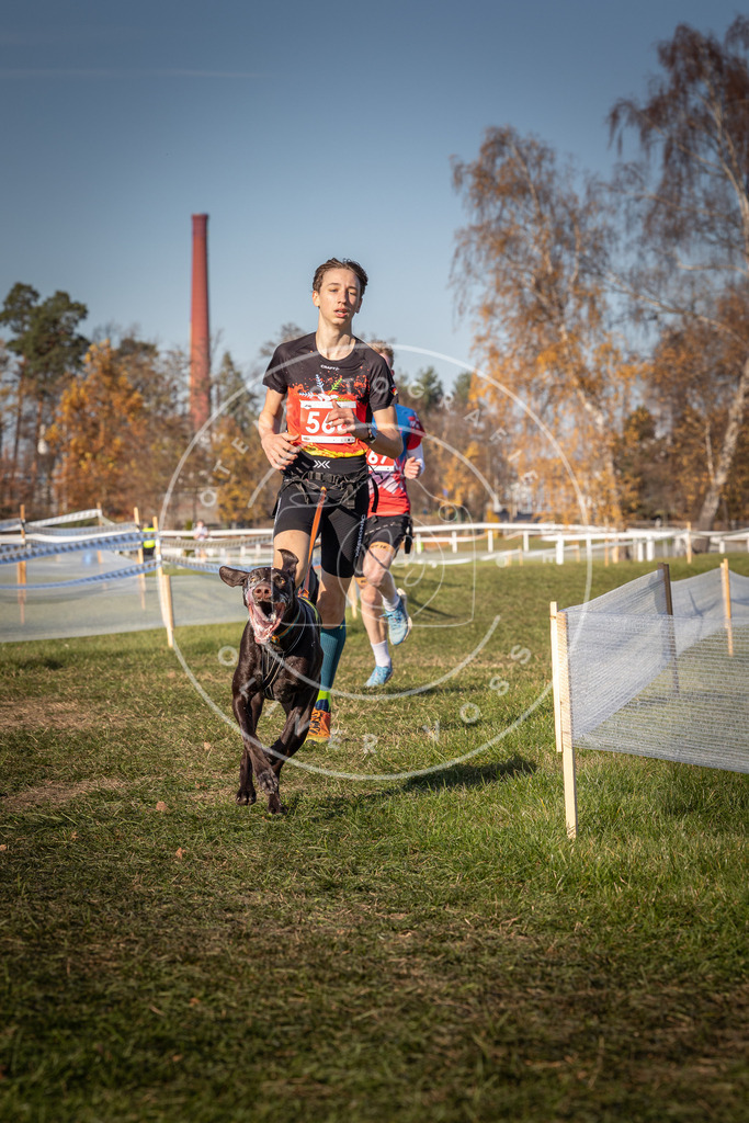 CaniXpix_0L8A7986 | Hundefotografie, Tierfotograf, Pfotenfotografie, Fotoshooting Hund, Hunde Portrait, Hundesport, Hundeportraits, Heideshooting, Hunde, Sportfotograf, Hundefotograf, Turnierhundsport, THS,  - Realisiert mit Pictrs.com