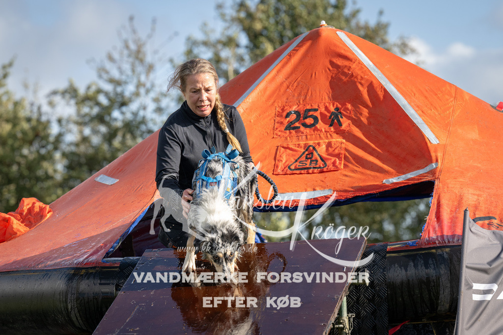 1430-94354 | kk-dogfotos