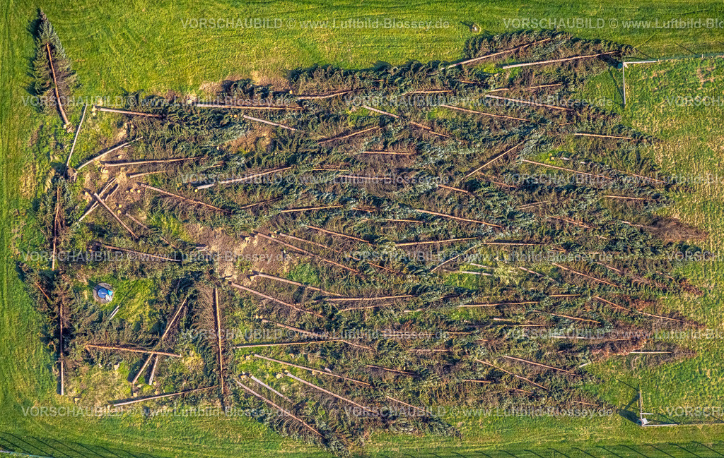 Hagen221015287-2 | Luftbild, Waldschäden, gefällte Bäume, am Wasserwerk Hengstey, Boele, Hagen, Ruhrgebiet, Nordrhein-Westfalen, Deutschland