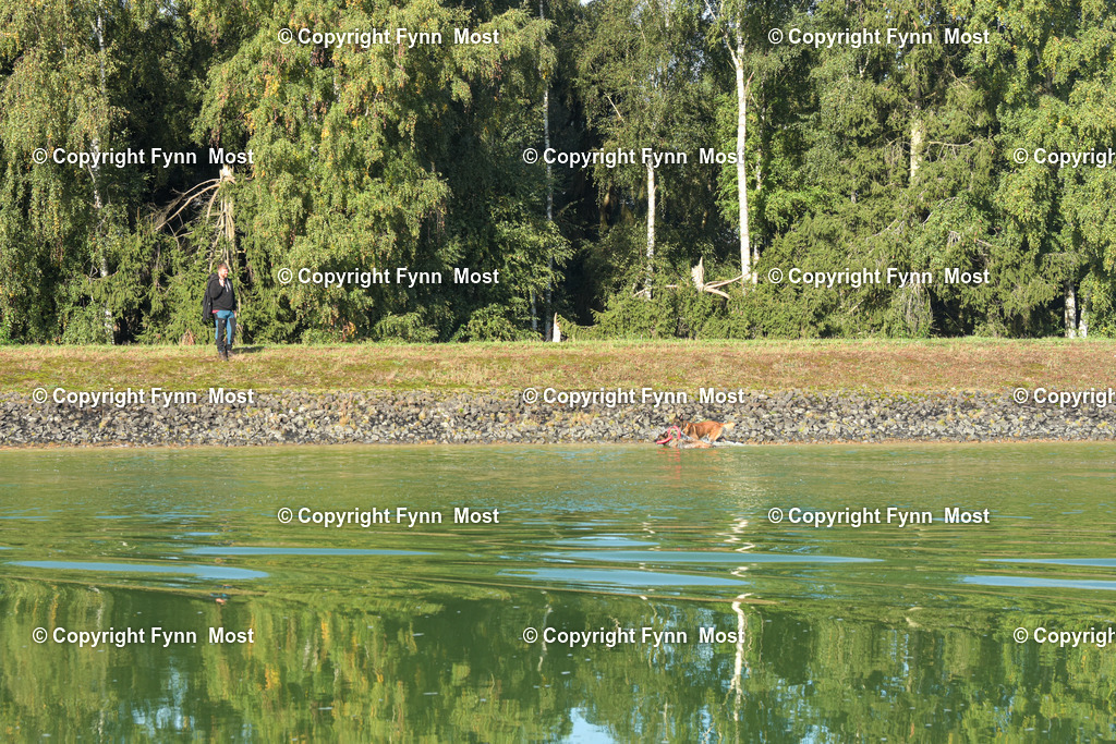 DSC_0994 | Hallo und herzlich Willkommen auf meiner Shop-Seite Fynn Most.

Ich wünsche Dir viel Spaß beim stöbern durch die Bilder, wenn Du Fragen hast oder Bilder vermisst, kannst du mir gerne eine Nachricht schreiben. - Realisiert mit Pictrs.com