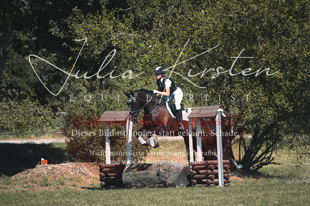 DSC_8357 | Pferde- und Turnierfotografie in Westsachsen. Pferdeportraits, Auftragszeichnungen und intuitive Kunst.