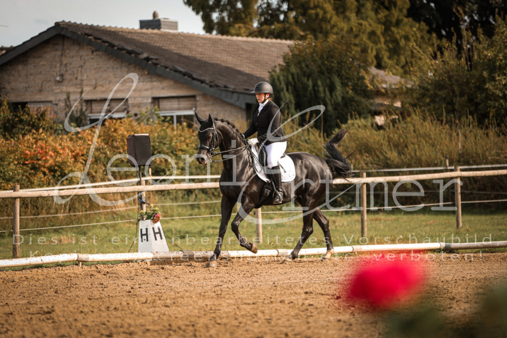 17.SoDrM00294 | Leoni Ertmer Photography - Realisiert mit Pictrs.com