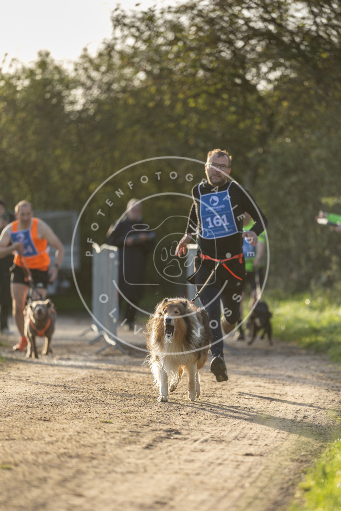 Pfotenfotografie.de_DV3A2669 | Hundefotografie, Tierfotograf, Pfotenfotografie, Fotoshooting Hund, Hunde Portrait, Hundesport, Hundeportraits, Heideshooting, Hunde, Sportfotograf, Hundefotograf, Turnierhundsport, THS, canicross - Realisiert mit Pictrs.com