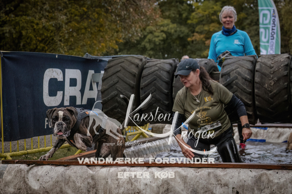 1630_ZZ93721 | kk-dogfotos