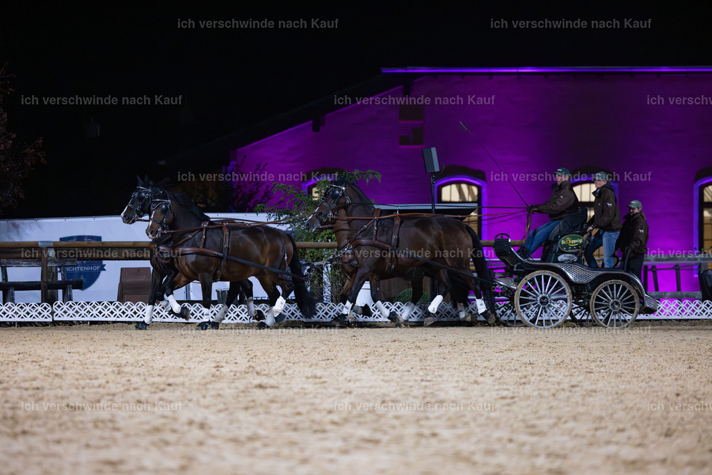 FHClassics-274 | working equitationturnier fotograf videograf stoibphotography marixx film working equitation deutschland reitsport turnierfotografie eventfotografie equestrian events