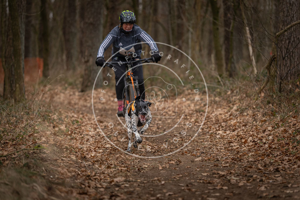 Pfotenfotografie_DV3A7017 | Hundefotografie, Tierfotograf, Pfotenfotografie, Fotoshooting Hund, Hunde Portrait, Hundesport, Hundeportraits, Heideshooting, Hunde, Sportfotograf, Hundefotograf, Turnierhundsport, THS,  - Realisiert mit Pictrs.com