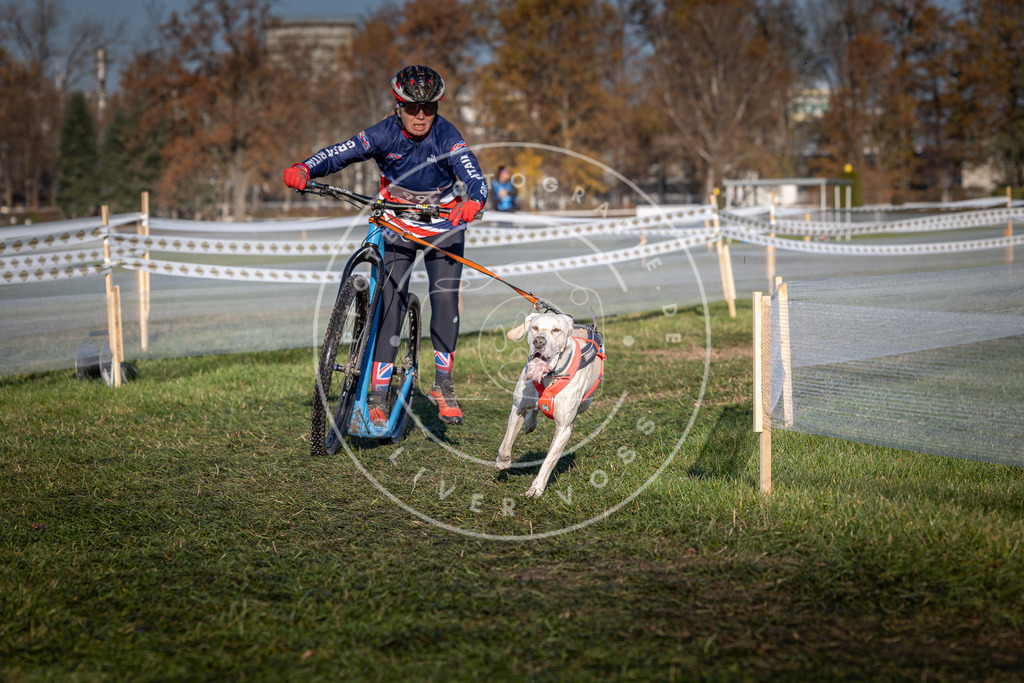 CaniXpix_0L8A4116 | Hundefotografie, Tierfotograf, Pfotenfotografie, Fotoshooting Hund, Hunde Portrait, Hundesport, Hundeportraits, Heideshooting, Hunde, Sportfotograf, Hundefotograf, Turnierhundsport, THS,  - Realisiert mit Pictrs.com