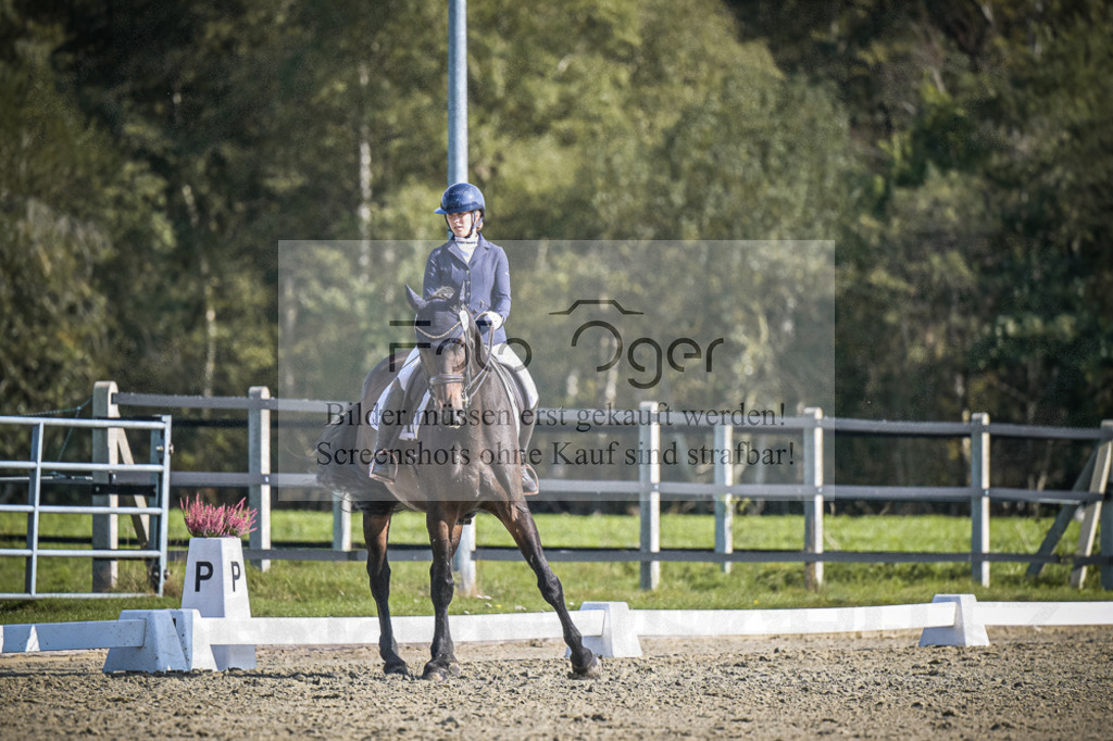 DOS_2689 | Entdecke hochwertige Reitturnierfotos von Foto Oger. Professionell, emotional und authentisch – jetzt Lieblingsmomente im Shop bestellen.Deutschlandweite Turnierfotografie. - Realisiert mit Pictrs.com