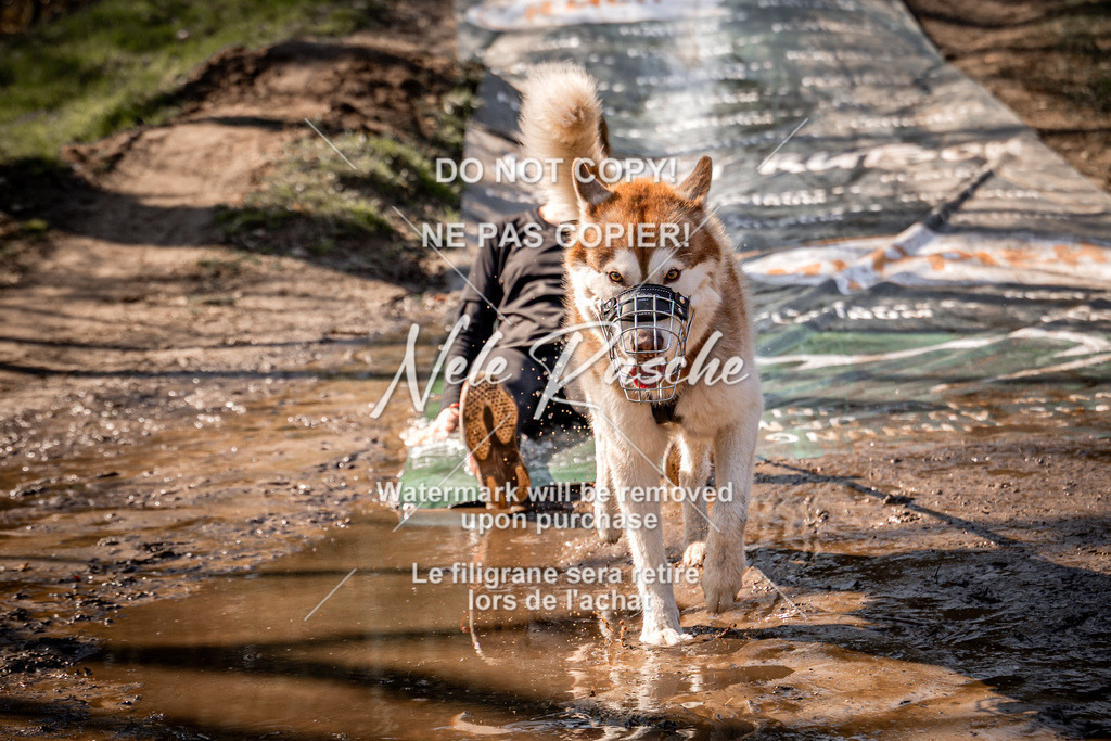 nelerasche_Hulsbeek_So1300-1330_115 | nelerasche
