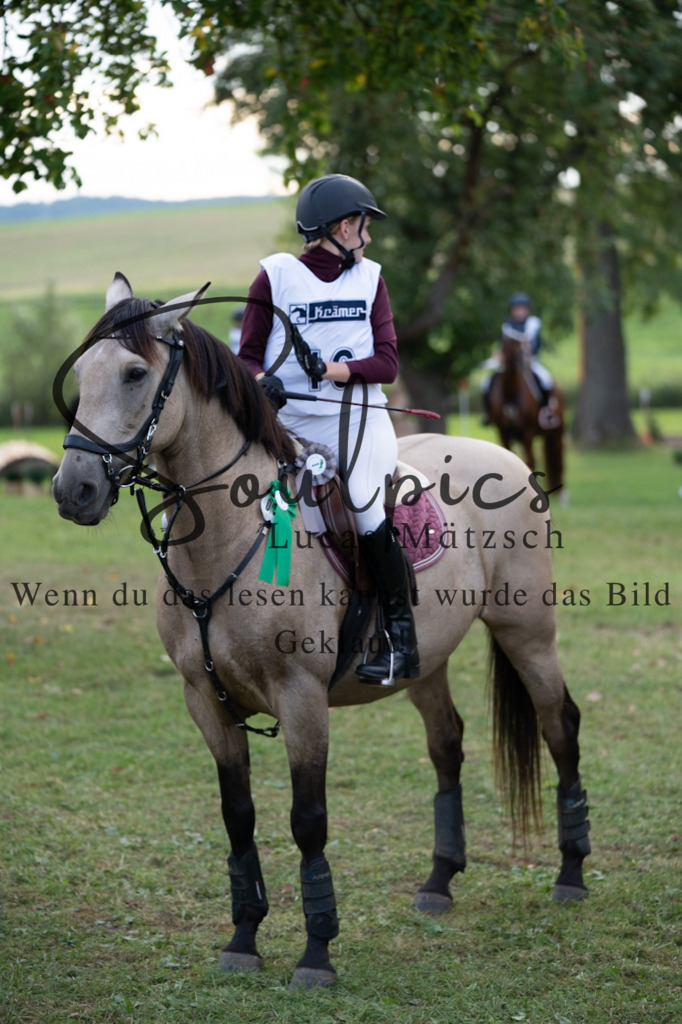 A7V03154 | Turnier/Reitfotograf
