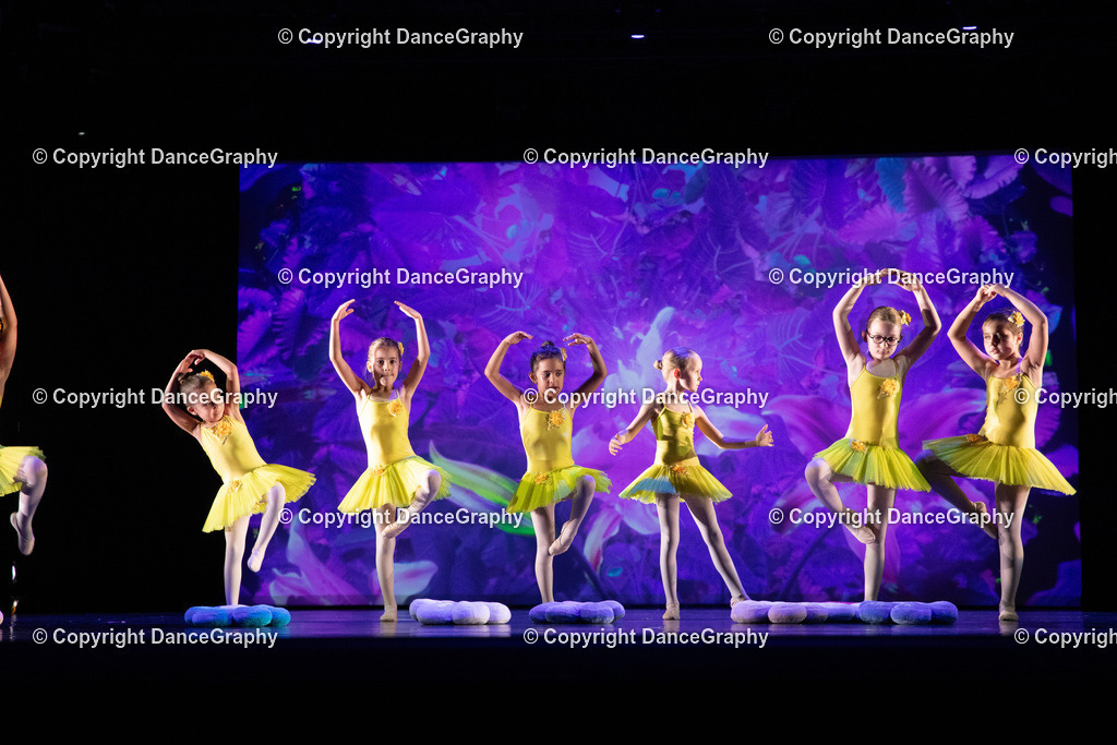 GPHY6251 | DanceGraphy - Realisiert mit Pictrs.com