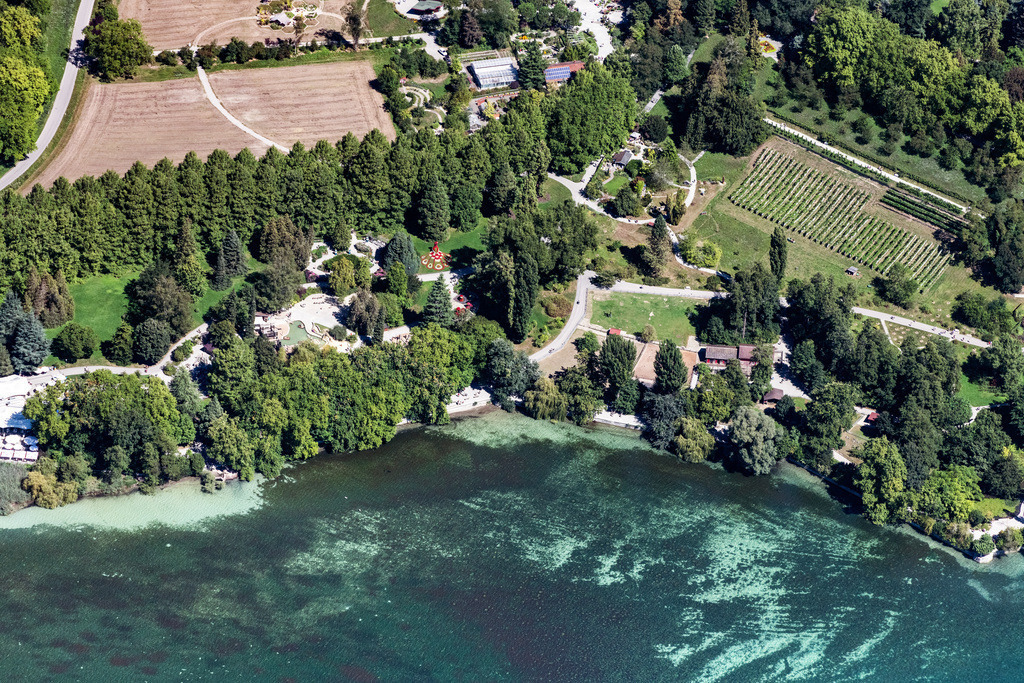 dr__0058814.jpg | KONSTANZ 20.08.2020 Blumeninsel Mainau im Bodensee im Bundesland Baden-Württemberg. Graf Lennart Bernadotte baute die Insel zur touristischen Attraktion aus. Im Schlosspark findet sich mediterrane und subtropische Vegetation, Rosengarten, Schmetterlingshaus, Palmenhaus und das Barockschloss mit Gastronomiebetrieben. // Island area Mainau with the village center in Konstanz in the state Baden-Wuerttemberg, Germany. Foto: Daniel Reiter