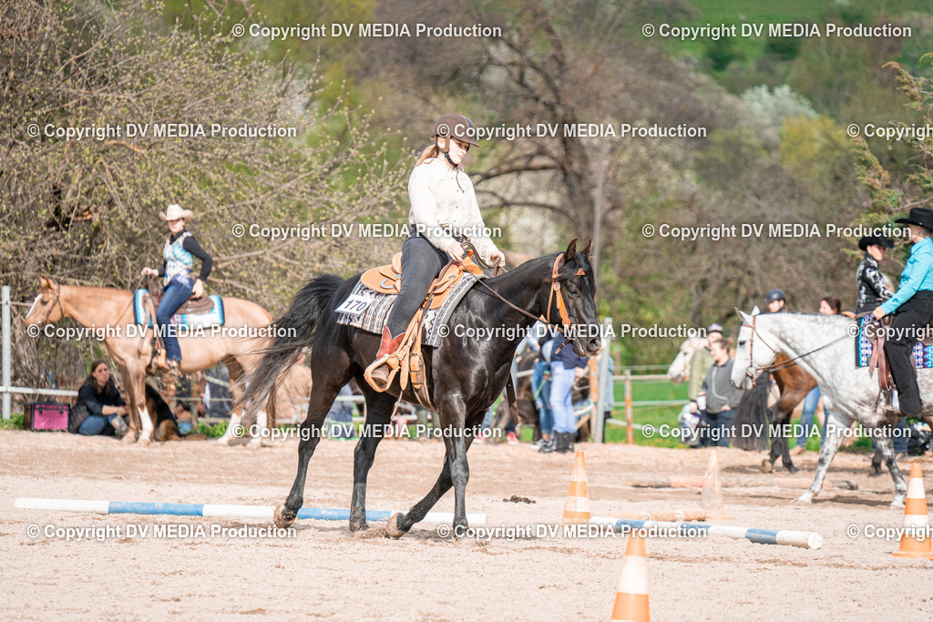 BAL02732 | dv-media-shop - Realisiert mit Pictrs.com