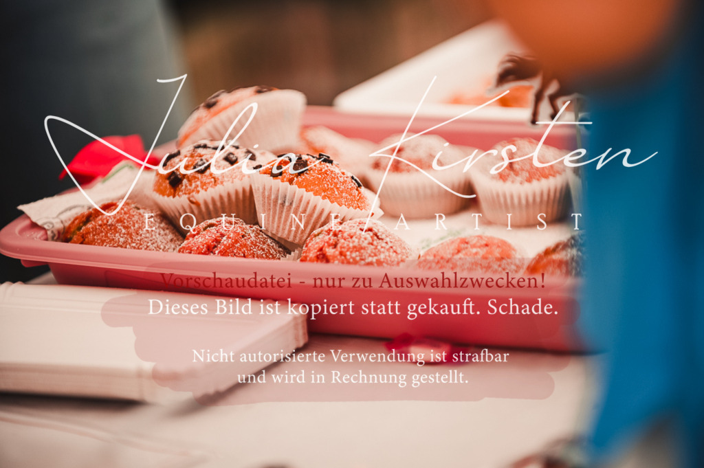 DSC_5741 | Pferde- und Turnierfotografie in Westsachsen. Pferdeportraits, Auftragszeichnungen und intuitive Kunst.