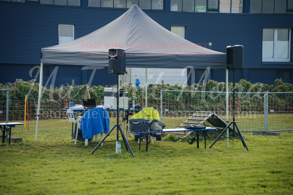 20250928_Hunderennen-332 | MuT (Mensch und Tier) mit Mona - Fotografie und Tierkommunikation - Realisiert mit Pictrs.com