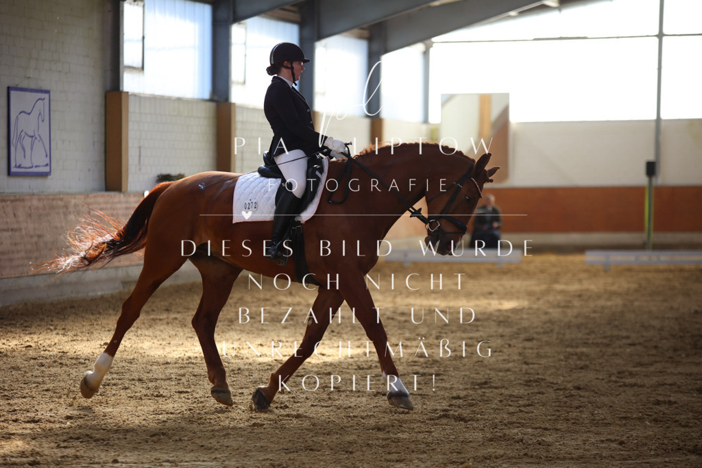 IMGT6421 | pl-fotografie