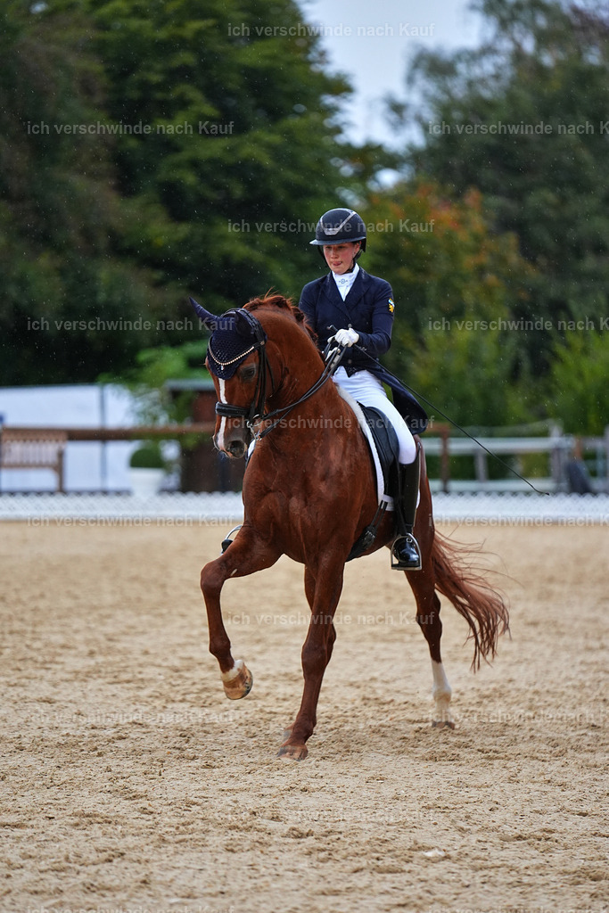 8_1-223-Klasse S_  -Marixx-4302 | working equitationturnier fotograf videograf stoibphotography marixx film working equitation deutschland reitsport turnierfotografie eventfotografie equestrian events