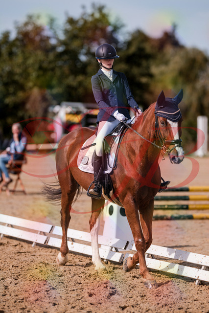2026_10_03_Siefer-Hof_132738_Z81_82420383 | Professionelle Reitsport-, Turnier- und Eventfotografie von Robert Broda. Galerien mit ausgewählten und bearbeiteten Bildern direkt online ansehen und bestellen.