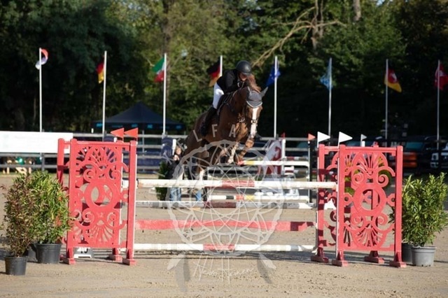 2B4A0968 | pixelfaenger - Realisiert mit Pictrs.com