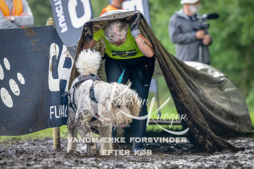 1150_ZZ94470-Bearbeitet | kk-dogfotos