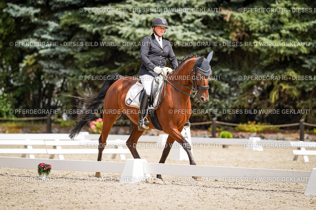 DSC03346 | Pferdegrafie