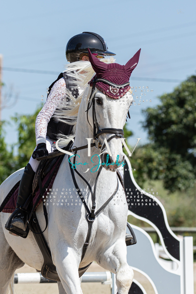 IMG_0717 | s-jay-photography - Realisiert mit Pictrs.com