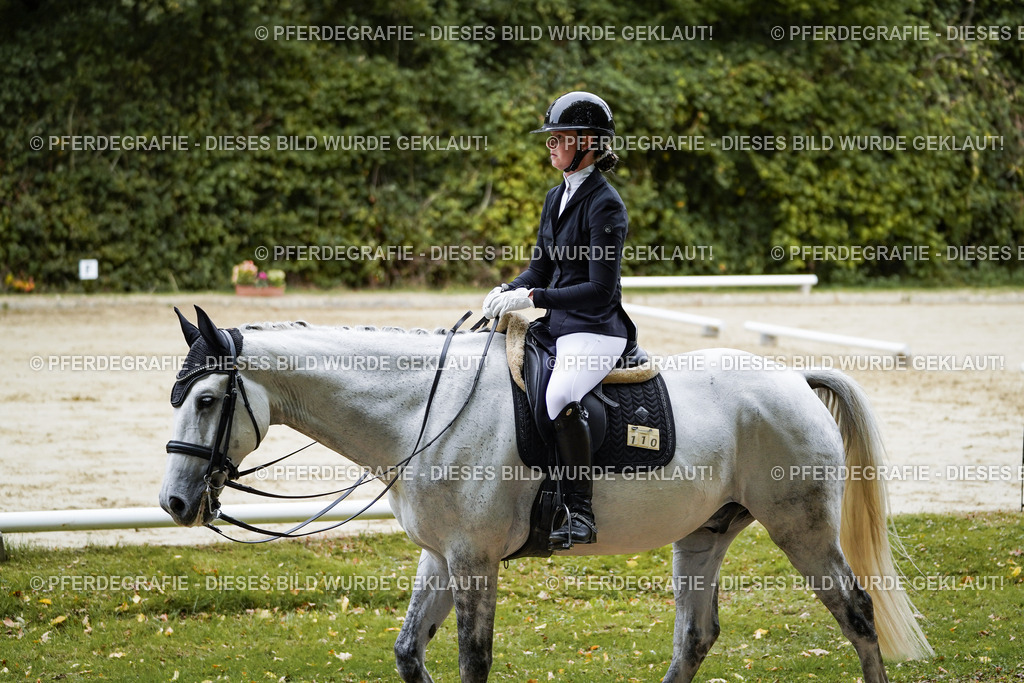 DSC08668 | Pferdegrafie