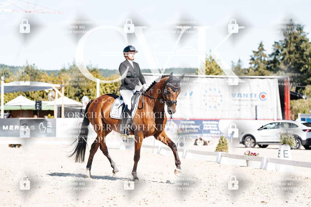 CK908306 | Turnierfotografie Pferdefotografie Trier Rheinland-Pfalz Pferdesport Reitsport Tierfotografie Sportfotografie Pferdevideo Pferdevideografie Equestrianvideography equestrianphotography  - Realisiert mit Pictrs.com
