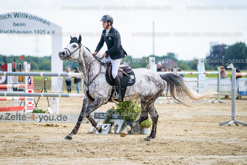 DSC06684 | Pferdegrafie