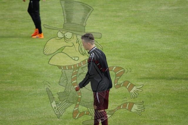 BFC Dynamo vs. Chemnitzer FC 039 | mythos-online-redaktion