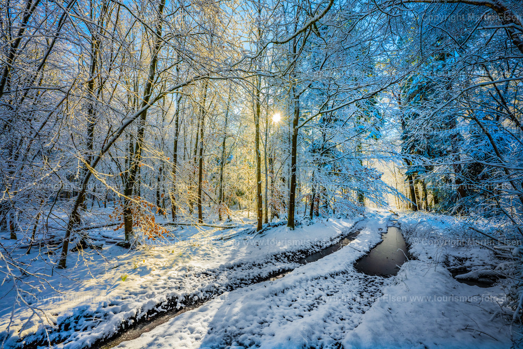 Harsefeld Winter Wald_ELS_4186110323 | Fotos aus den Touristenorten aus Norddeutschland. - Realisiert mit Pictrs.com