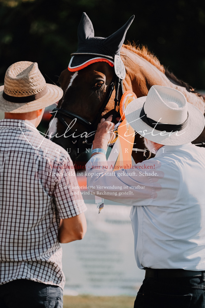 DSC_4900 | Pferde- und Turnierfotografie in Westsachsen. Pferdeportraits, Auftragszeichnungen und intuitive Kunst.