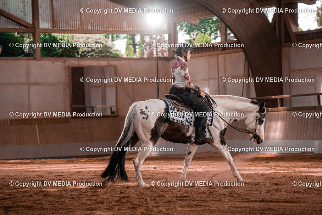 NE100373 | dv-media-shop - Realisiert mit Pictrs.com