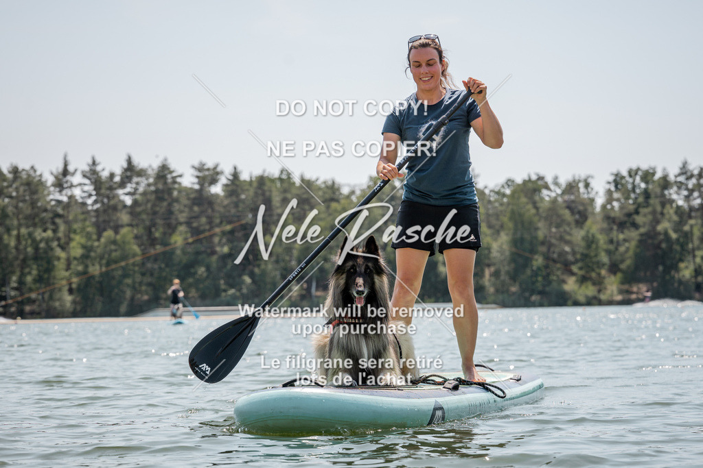 nelerasche_saSUP1_367 | nelerasche
