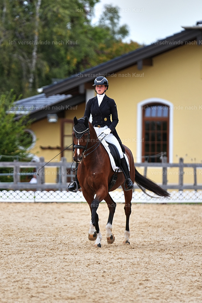 11-048-Dressur S___-Marixx-1511 | working equitationturnier fotograf videograf stoibphotography marixx film working equitation deutschland reitsport turnierfotografie eventfotografie equestrian events