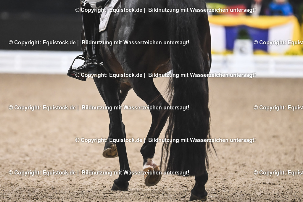 20241116_Dressur-Kür_TOMsPiC_0008 | Foto: Thomas Hartig