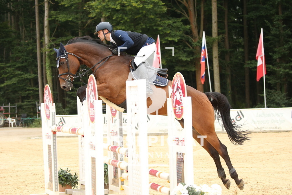 DL2Q6963 | Willkommen bei Brunnmayr - Design & Fotografie – Ihrem Spezialisten für Reitturniere und Pferdeveranstaltungen in Oberösterreich, Salzburg und Bayern! Seit über 17 Jahren sind wir leidenschaftlich dabei.