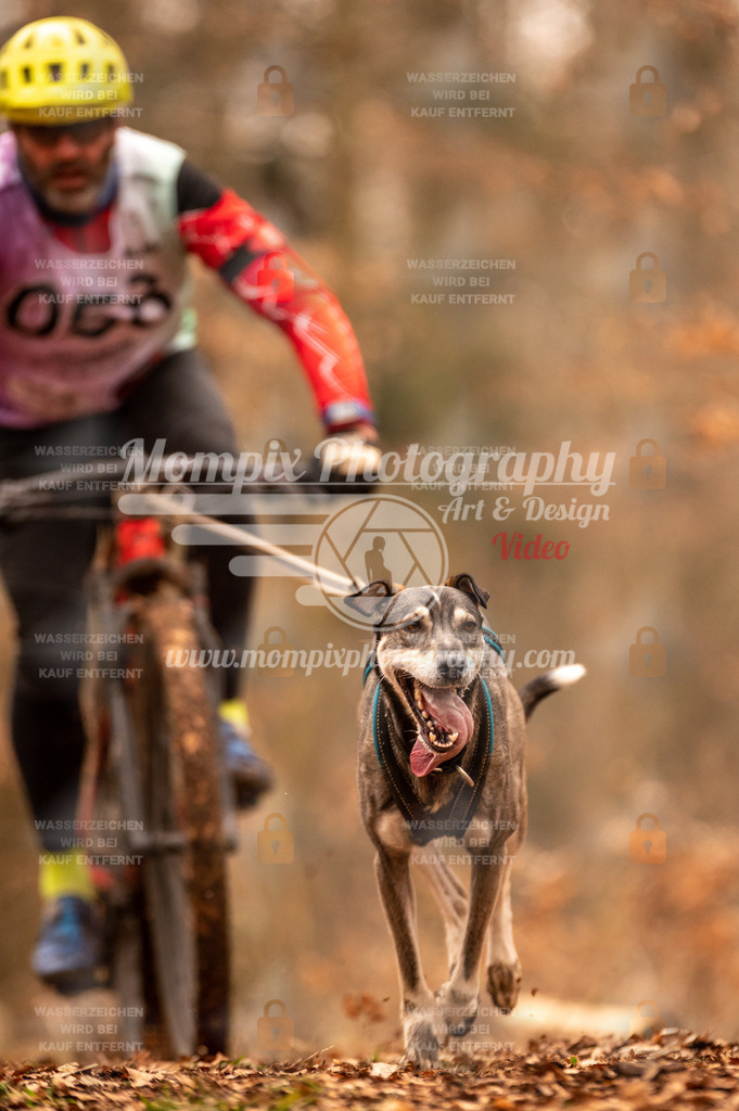 AKM_ST_2023_SAM_Bike-21 | PayLife