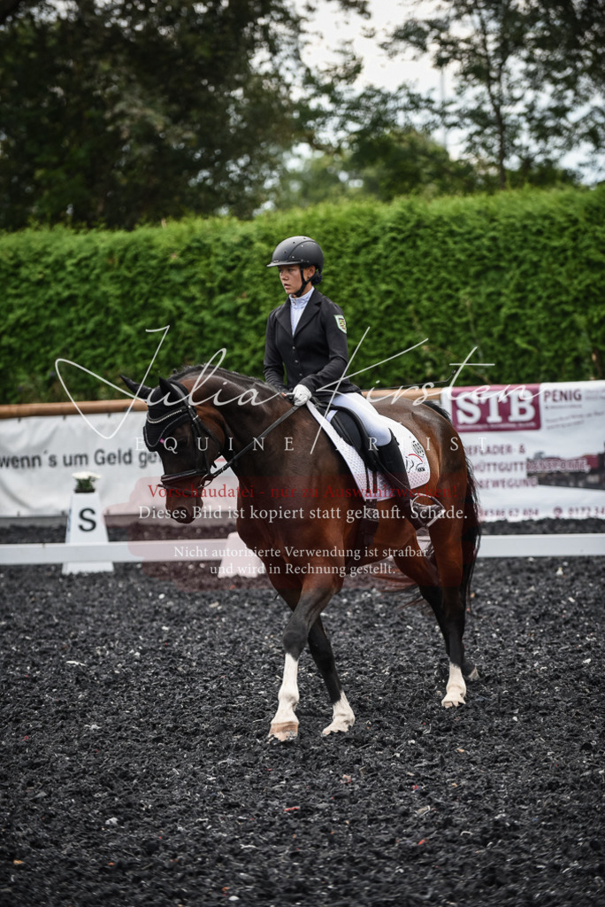 DSC_4572 | Pferde- und Turnierfotografie in Westsachsen. Pferdeportraits, Auftragszeichnungen und intuitive Kunst.