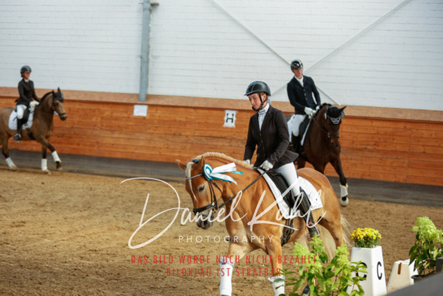 _62_7336 | Turniersportfotografie; Pferdefotografie; Dressurfotografie