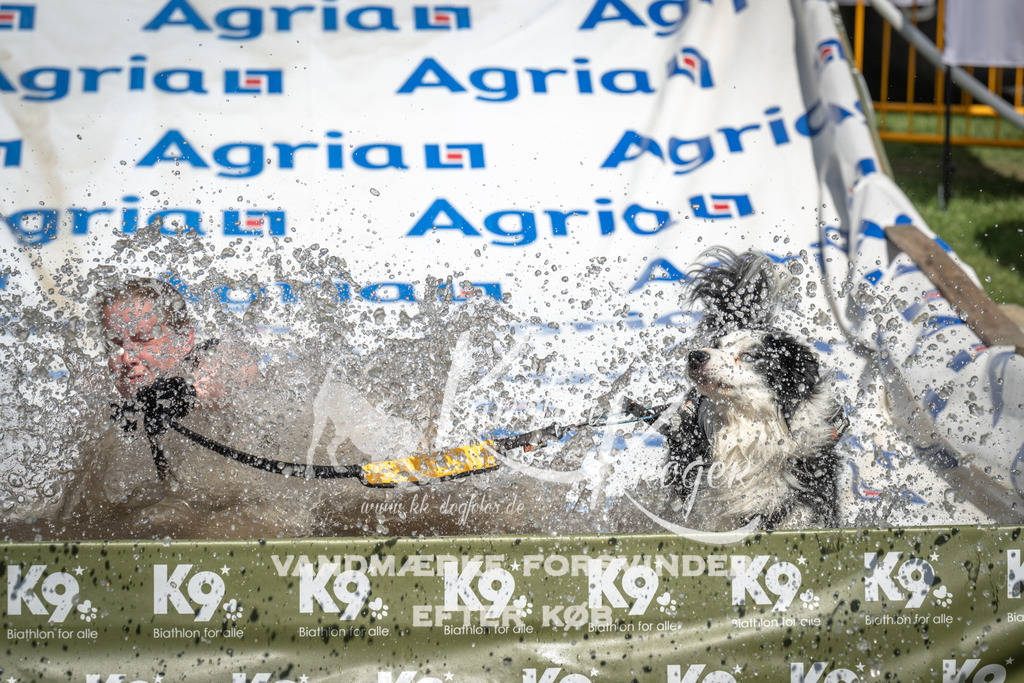 1434_ZZ94983 | kk-dogfotos