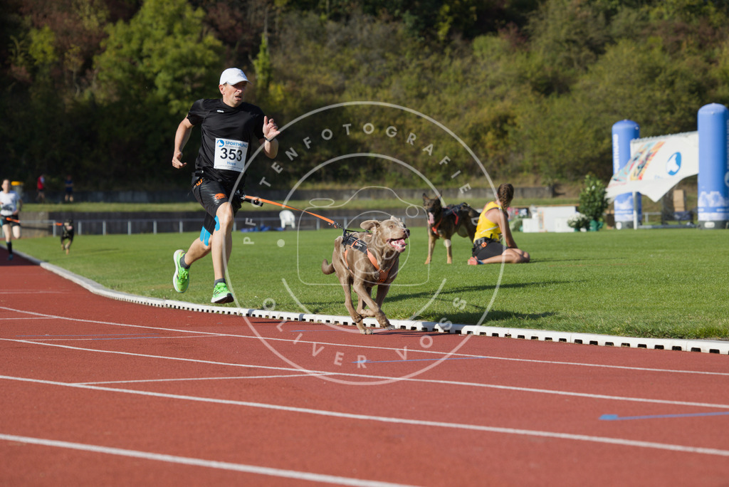 0L8A0144 | Hundefotografie, Tierfotograf, Pfotenfotografie, Fotoshooting Hund, Hunde Portrait, Hundesport, Hundeportraits, Heideshooting, Hunde, Sportfotograf, Hundefotograf, Turnierhundsport, THS,  - Realisiert mit Pictrs.com