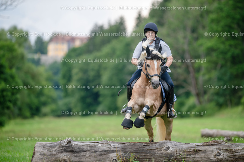 20250725_Vielseitigkeitslehrgang-Marbach_0569 | Foto: Thomas Hartig