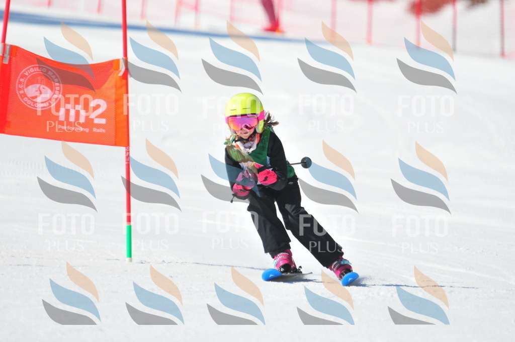 C2736 | holidayphoto