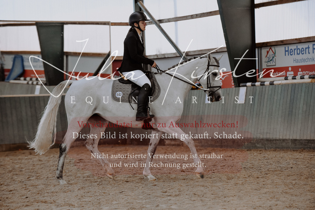 DSC_7528 | Pferde- und Turnierfotografie in Westsachsen. Pferdeportraits, Auftragszeichnungen und intuitive Kunst.