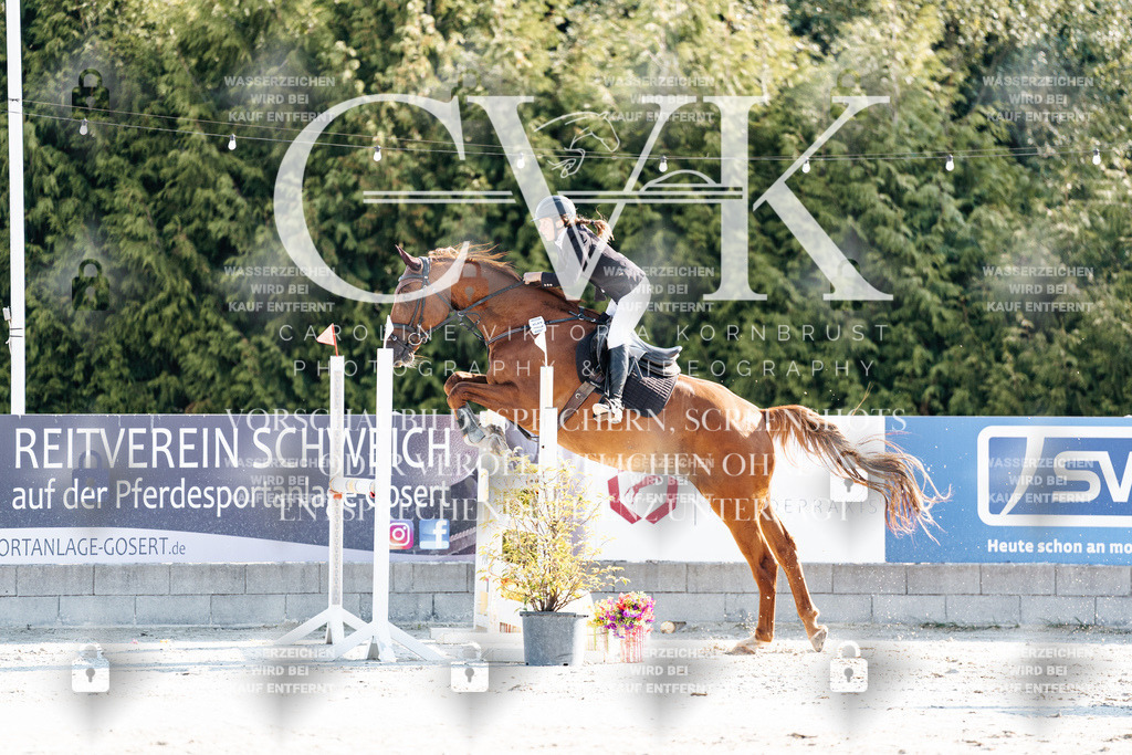 CK901665 | Turnierfotografie Pferdefotografie Trier Rheinland-Pfalz Pferdesport Reitsport Tierfotografie Sportfotografie Pferdevideo Pferdevideografie Equestrianvideography equestrianphotography  - Realisiert mit Pictrs.com