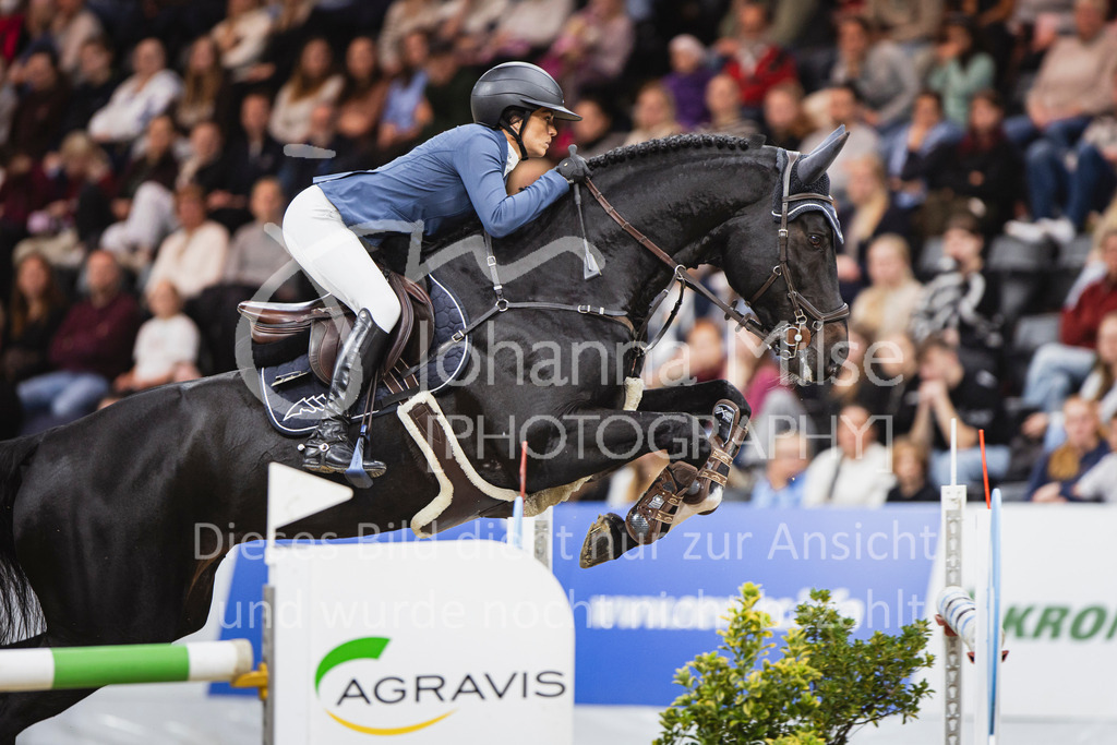 251102_OLD_S4-Spr_GP-919 | AGRAVIS Cup Oldenburg 2025 | S****-Springen | Große Tour