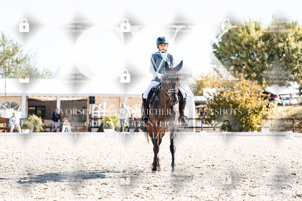 CK908769 | Turnierfotografie Pferdefotografie Trier Rheinland-Pfalz Pferdesport Reitsport Tierfotografie Sportfotografie Pferdevideo Pferdevideografie Equestrianvideography equestrianphotography  - Realisiert mit Pictrs.com