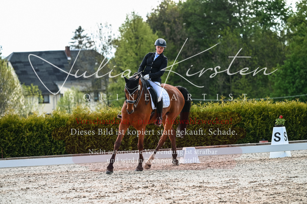 20230513_JK-Röhrsdorf-10-0576 | Pferde- und Turnierfotografie in Westsachsen. Pferdeportraits, Auftragszeichnungen und intuitive Kunst.